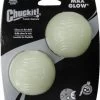 Chuckit! Max Glow Ball 2 Stuks (M) – Honden Speelgoed – Apporteren – Drijft Op Water – Stuitert – Veilig Voor Gebit – Honden Bal – Ideaal Met De Ballenwerper – Ø 7cm – Lichtgevend – Apporteerspeelgoed – Glow In The Dark