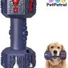 PetPetrol Honden Speelgoed -Dumbbell -Geschikt Voor Kleine En Middelgrote Honden- Tanden Schoonmaken- Kauwen- Haltervorm- Blauw- Natuurrubber Met Ananas Smaak -Huisdier Speelgoed Winkel 1025x1200