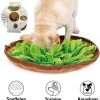 SY Goods – Snuffelmat Hond Kat Honden Speelgoed Puppy Speelgoed Katten Speeltjes – Snuffelmatten Voor Honden En Katten Intelligentie – Hersenwerk – Speelmat – Konijnen – Training – Speeltjes – Trainingsmat – Anti-Schrok – Snuffelkleed – Groen / Bruin -Huisdier Speelgoed Winkel 1159x1200 2