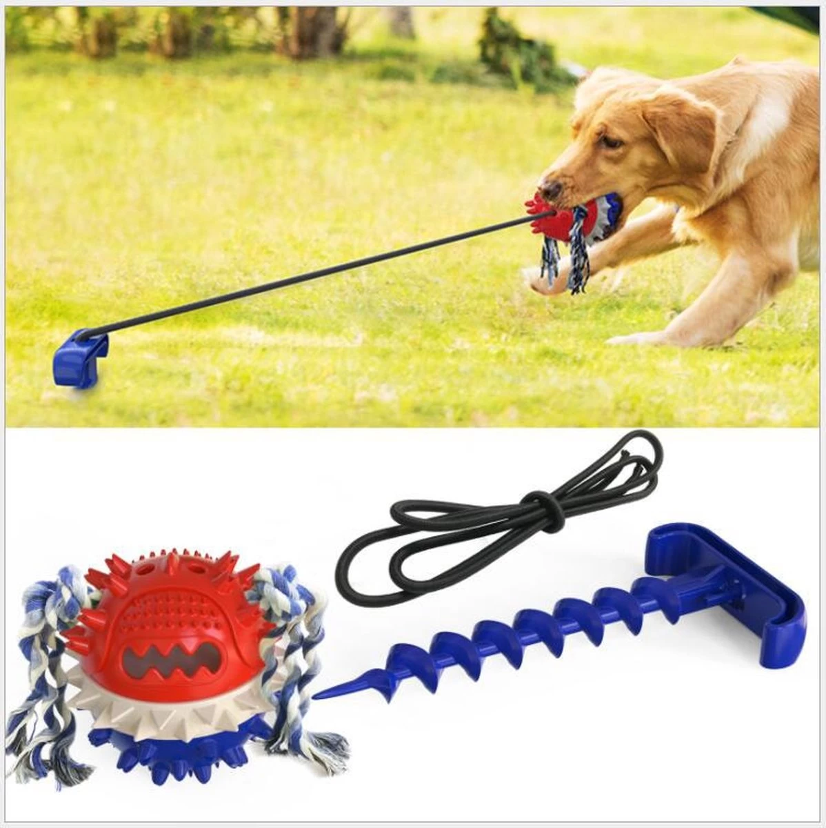 Nixnix – Honden Speelgoed Bal Met Touw – Blauw – Kauwbot – Hondenspeelgoed – Kauwspeelgoed – Onverwoestbaar – Apporteren – Geschikt Voor Alle Honden 3 Nixnix – Honden Speelgoed Bal Met Touw – Blauw – Kauwbot – Hondenspeelgoed – Kauwspeelgoed – Onverwoestbaar – Apporteren – Geschikt Voor Alle Honden