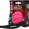 Dog Comets Ball Halley Met Touw Hondenspeeltje – Duurzaam Honden Speelgoed – Stevige Honden Bal – Rubberen Bal – Geschikt Voor Honden – Hondenbal Voor Gezonder Tandvlees – Roze – 6 Diameter -Huisdier Speelgoed Winkel 1200x1030
