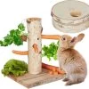 Relaxdays Konijnen Speelgoed 2-delig – Intelligentiespeelgoed – Voerboom – Cavia Speeltjes -Huisdier Speelgoed Winkel 1200x1144
