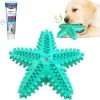 Tandenborstel + TANDPASTA Hond Piep Honden Speelgoed Dog Toy – Zeester Blauw Tandverzorging Kauwbotten Hondenspeelgoed Hondenbot Kauwstaaf Tanden Puppy Hondenspeeltje Sterk Kauwspeelgoed – Dutchwide