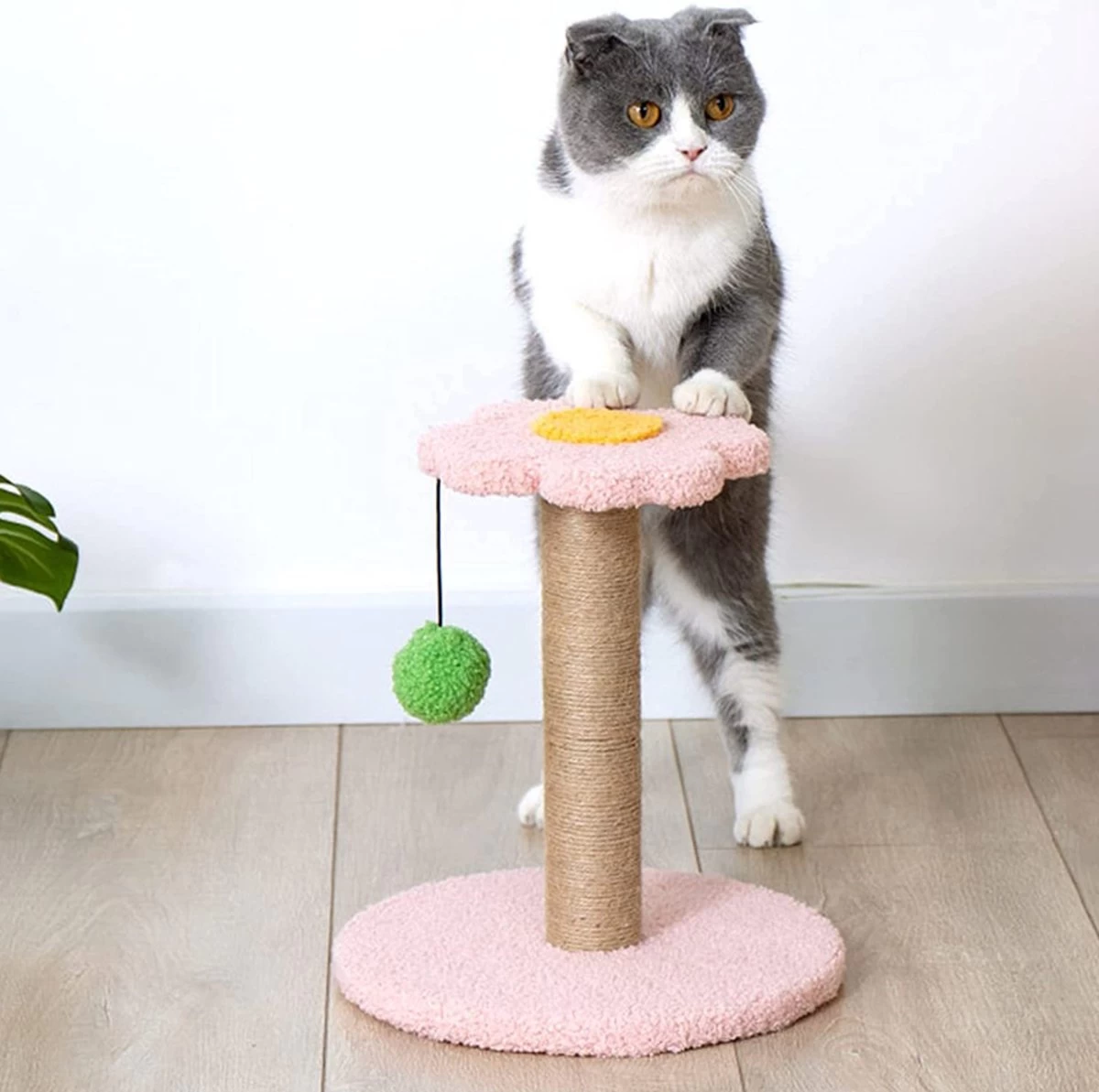 Krabpaal Kitten Huisdier Scratcher Bloem Met Bal Speelgoed Katten Krab Klimmen Toren 30CM X 25CM 2 Krabpaal Kitten Huisdier Scratcher Bloem Met Bal Speelgoed Katten Krab Klimmen Toren 30CM X 25CM