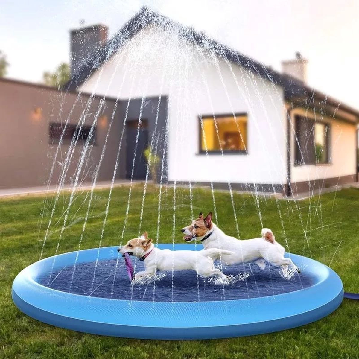 Hondenzwembad 170cm Van Verdikt PVC – Honden Speelgoed – Honden Speeltjes – Waterspeelgoed – Watersproeier – Hondenspeelgoed – Koelmat – Kinderzwembadje – Speelmat Met Fontein – Verkoeling Voor Honden & Kinderen! 3 Hondenzwembad 170cm Van Verdikt PVC – Honden Speelgoed – Honden Speeltjes – Waterspeelgoed – Watersproeier – Hondenspeelgoed – Koelmat – Kinderzwembadje – Speelmat Met Fontein – Verkoeling Voor Honden & Kinderen!