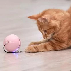 Smarty Rollende Bal Kat | Kattenspeeltjes Bal Roos | Speelgoed Kat En Hond | Led En USB Oplaadbaar | Zelf Rollende Bal Voor Katten