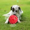 Hond Speelgoed, Bal, Piepende Honden Bal, On Verwoestbaar, Large Honden Bal Voor Honden, Interactieve Honden Balen, Ø 14 Cm -Huisdier Speelgoed Winkel 1200x1200 65