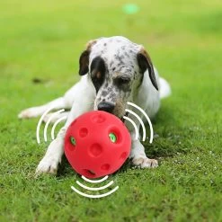 Hond Speelgoed, Bal, Piepende Honden Bal, On Verwoestbaar, Large Honden Bal Voor Honden, Interactieve Honden Balen, Ø 14 Cm