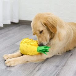 Honden Speelgoed – Snuffelmat – Ananas – Interactieve Honden Puzzel – Snuffel Training – IQ Training – Intelligentiespeelgoed – Snuffelen – Huisdier – Brokjes Zoeken – Hondenlekkernij Zoeken – Ontspanning – Training –