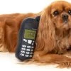 FuzzYard Pluche Nokia – Nokidog – Speelgoed Voor Honden -Huisdier Speelgoed Winkel 1200x585