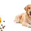 Honden Speelgoed – Hondenspeeltjes – Hondenbal – Hondenspeelgoed – Honden Speelgoed Intelligentie – Honden Bal – Snackbal Hond – Kauwspeelgoed Hond – Oranje – 7 Cm 2 Honden Speelgoed – Hondenspeeltjes – Hondenbal – Hondenspeelgoed – Honden Speelgoed Intelligentie – Honden Bal – Snackbal Hond – Kauwspeelgoed Hond – Oranje – 7 Cm -Huisdier Speelgoed Winkel 1200x617