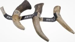 Aerend – Hondenkauwspeeltje – Honden Speelgoed – Kauwspeelgoed – Natuurlijk – 100% Antler Premium – Langdurig, Hertengewei, Roodhert Elk – Rijk Aan Eiwit En Calcium – M – 12-15 Cm – 3 Stuks