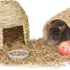 Relaxdays Konijnen Speelgoed – 2-delige Set – Knaagdieren Benodigdheden – Speeltjes Cavia -Huisdier Speelgoed Winkel 1200x679