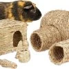 Relaxdays Konijnen Speelgoed – Set Van 5 – Knaagdier Speeltjes – Kooiaccessoires – Cavia