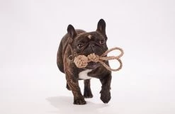 Henneptouw Speelgoed – Rabbit – Maat S – 100% Natuurlijk – Duurzaam – Ecologisch En Veilig Speelgoed Voor Je Hond -handmade In EU