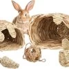 Relaxdays Knaagdier Speelgoed – Set Van 5 – Grashuis – Kooi Accessoires – Speeltje – Cavia -Huisdier Speelgoed Winkel 1200x788 1