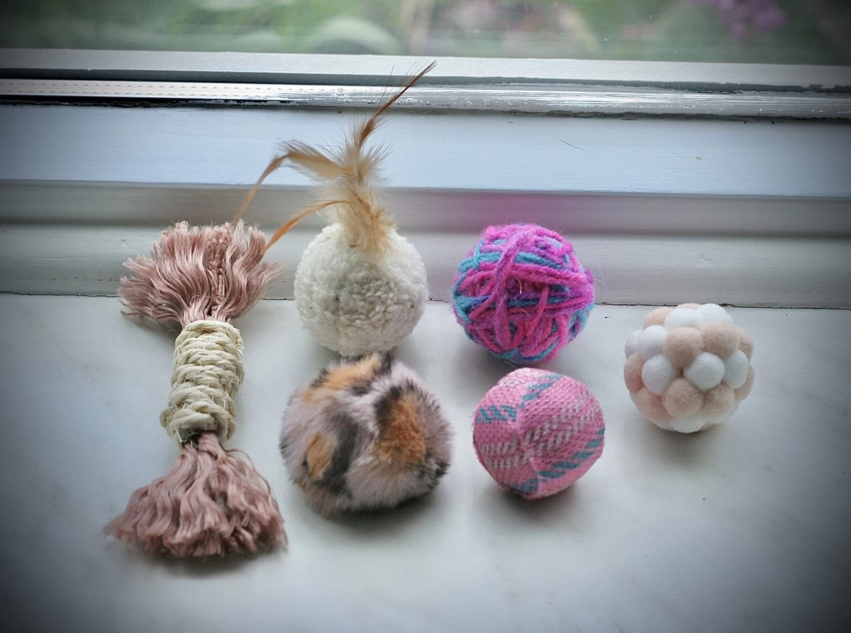 Leer Je Kat Kennen – 6 Delig Speelgoed Pakket – Katten Speelgoed Pakket – Katten Speelgoed – Katten Speelgoed Set 3 Leer Je Kat Kennen – 6 Delig Speelgoed Pakket – Katten Speelgoed Pakket – Katten Speelgoed – Katten Speelgoed Set