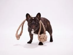 Dubbele Henneptouw Bal – Maat M-L – 100% Natuurlijk – Duurzaam – Ecologisch En Veilig Speelgoed Voor Je Hond – Handgemaakt In De EU