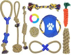Nobleza Honden Speelgoed Set PLJ – 10 Stuks
