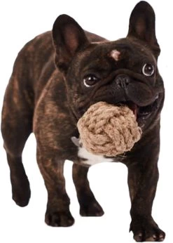 Henneptouwbal – Bal – Maat S – 100% Natuurlijk – Duurzaam – Ecologisch En Veilig Speelgoed Voor Je Hond -handgemaakt In EU