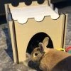 Konijnenhok | Speelhuisje | Speelgoed Voor Dieren |Konijn | Kat | Kasteel | 36cm X 36cm X 30cm -Huisdier Speelgoed Winkel 899x1200 3