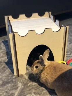 Konijnenhok | Speelhuisje | Speelgoed Voor Dieren |Konijn | Kat | Kasteel | 36cm X 36cm X 30cm