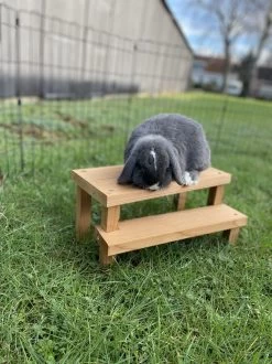 Konijnen Speelgoed – Handgemaakt – Knaagdieren Speelgoed – Duurzaam – Diervriendelijk – Irisfransjes
