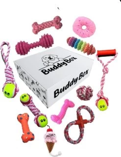 Honden Speelgoed – Puppy Speelgoed – 11 Stuks – Roze – 1 Speeltje Gratis – Honden Knuffel – Trektouw – Honden Speeltjes