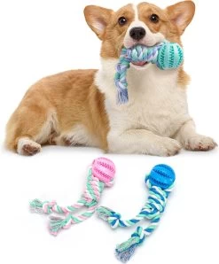 Nobleza A3A – Flostouw Met Snackbal – Honden Speelgoed – D6 X L25CM – 3 Stuks